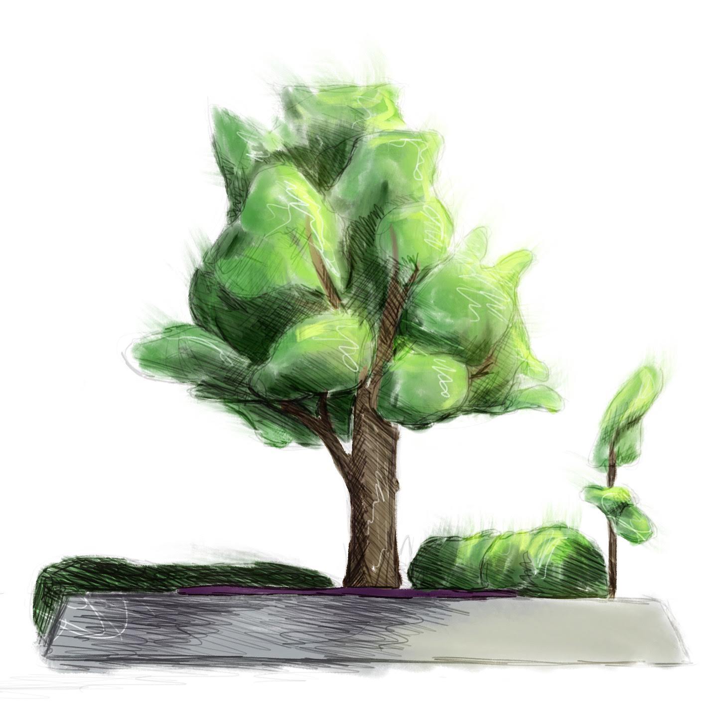 Soft drawing of a tree in a park