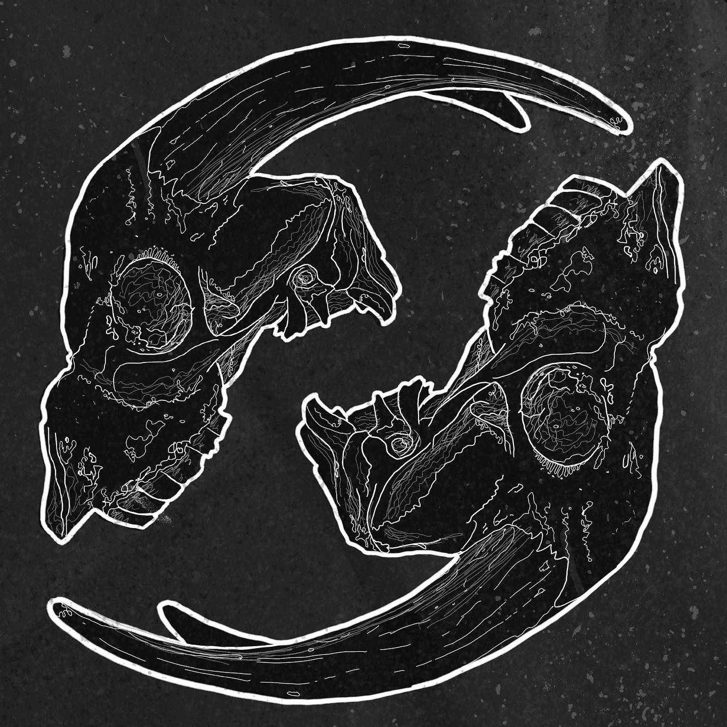 Line drawing of two rams skulls on a dark background